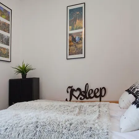 Sweet Family Centrum Z Garazem Appartement